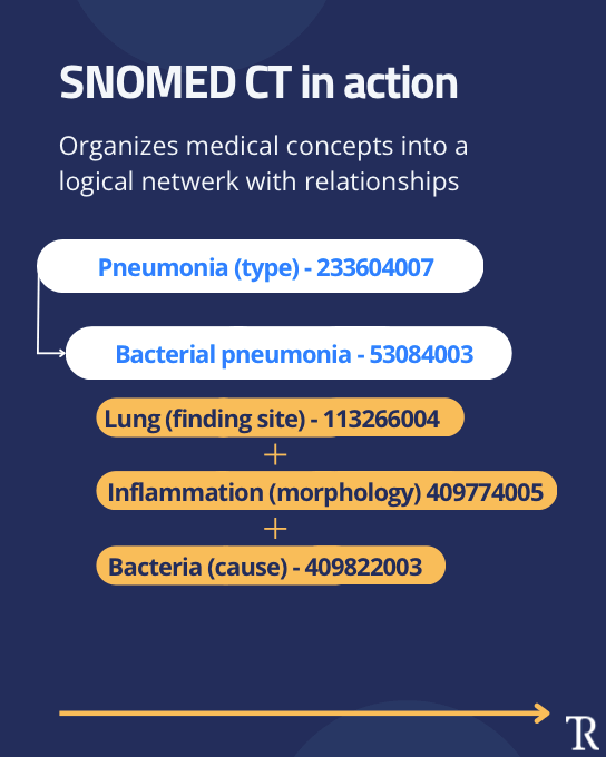 Snomed pic
