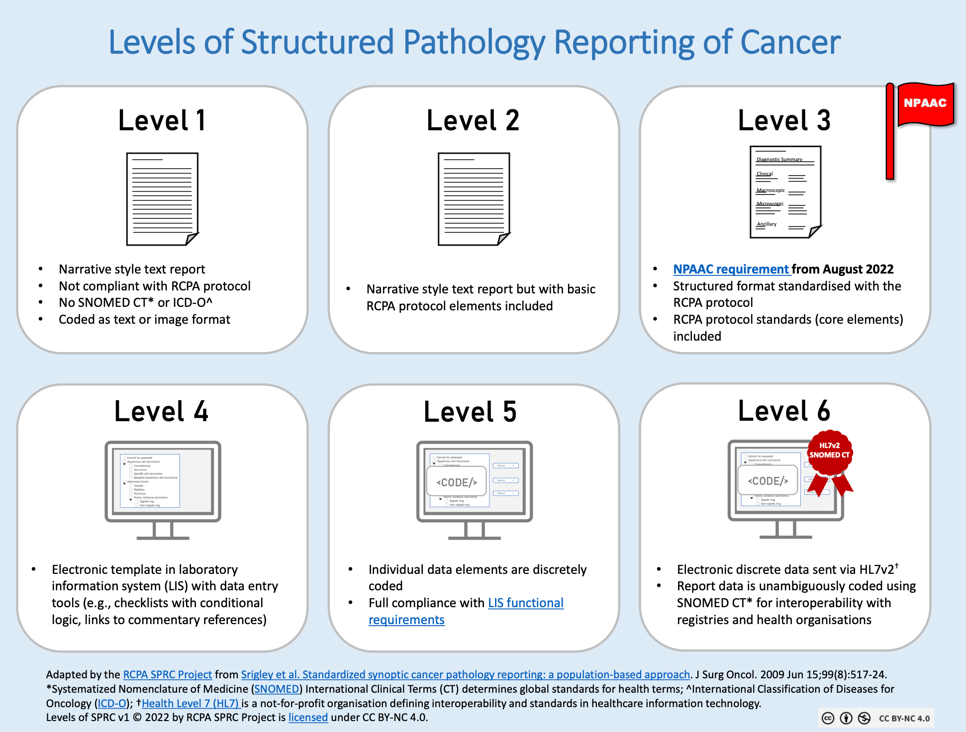 Levels of structured reporting